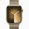Apple Watch Series 9 45mm Gold Stainless Steel Case Millanes Gold Band